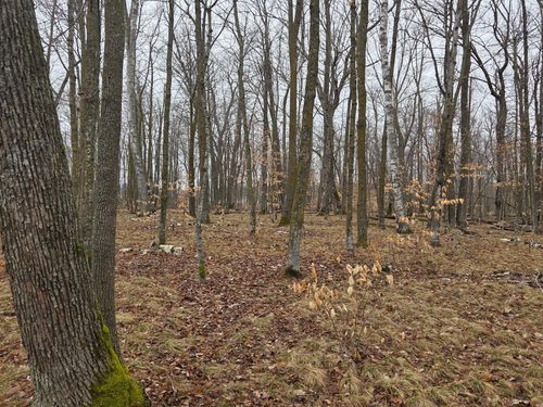 TBD Xxx, Longville, MN, 56655 | Card Image