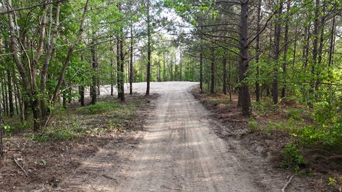 191 Vista Dr, Linden, TN, 37096-2141 | Card Image