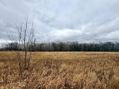 XX Pole Rd, Grasston, MN, 55030 | Card Image