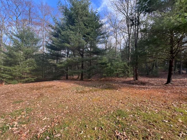 View of landscape on 10 acre parcel | Image 14