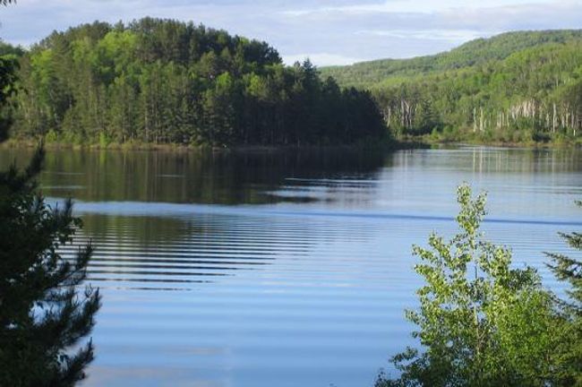 Wynne Lake | Image 16