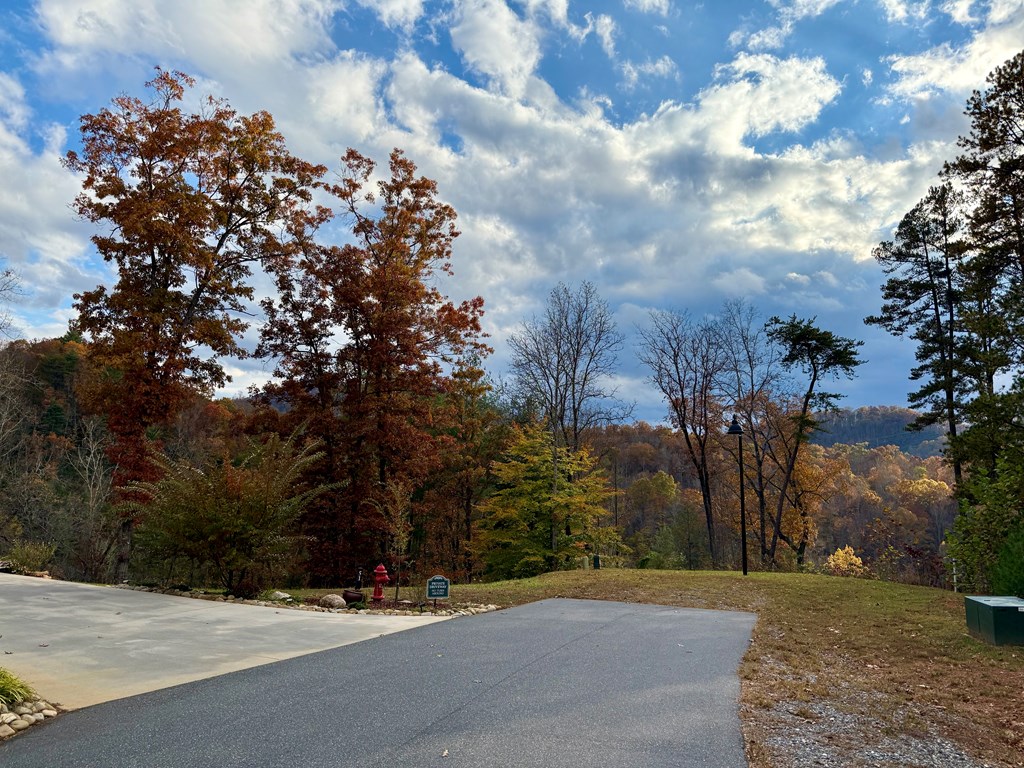 Land in Cullowhee