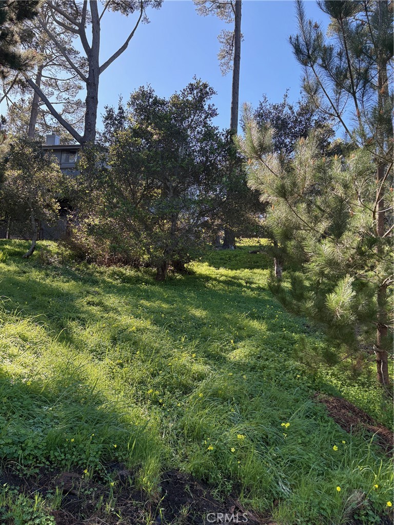 Land in Cambria 2
