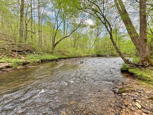 Lot 5 Spiva Cove, Blairsville, GA, 30512 | Card Image