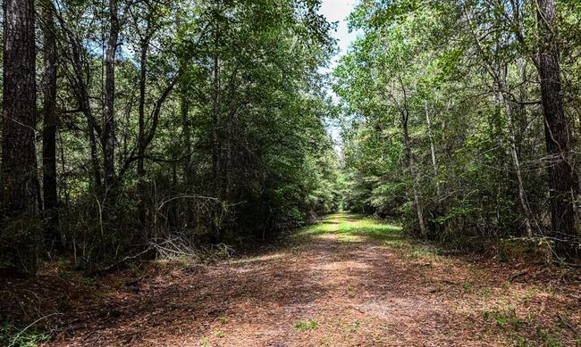 0 Highway 105, Home with 0 bedrooms, 0 bathrooms and null parking in Hull TX | Image 15