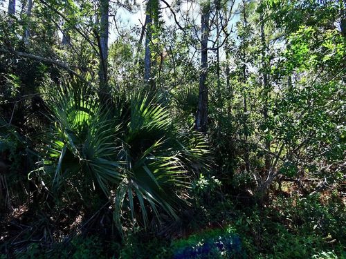 0 Macquillen Rd, Port Saint Lucie, FL, 34952 | Card Image