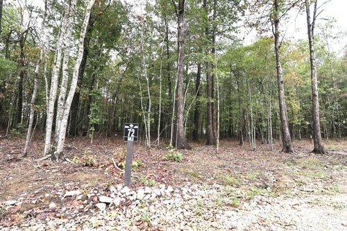 72 Woodly Branch Way, Monteagle, TN, 37356 | Card Image