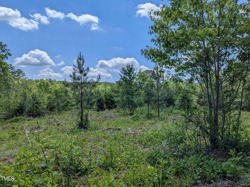 0 Cypress Creek Drive, Louisburg, NC, 27549 | Card Image