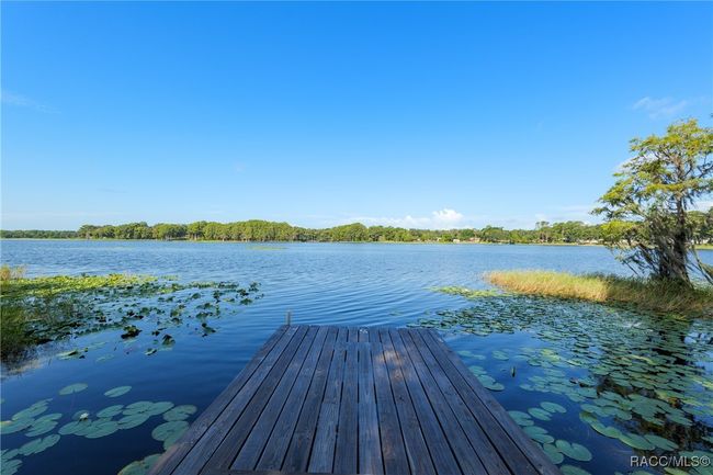 5870 N Briarcliff Ter, House other with 3 bedrooms, 3 bathrooms and 2 parking in Hernando FL | Image 41
