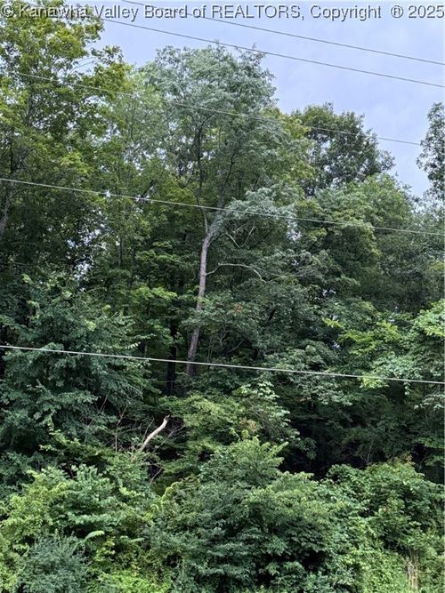 0 Roundbottom Rd, Peytona, WV, 25154 | Card Image