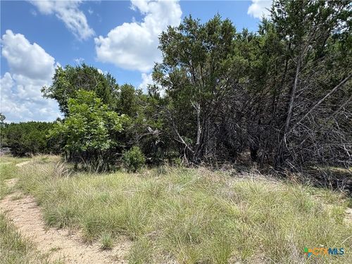 317 County Road 3062, Lampasas, TX, 76550-3990 | Card Image