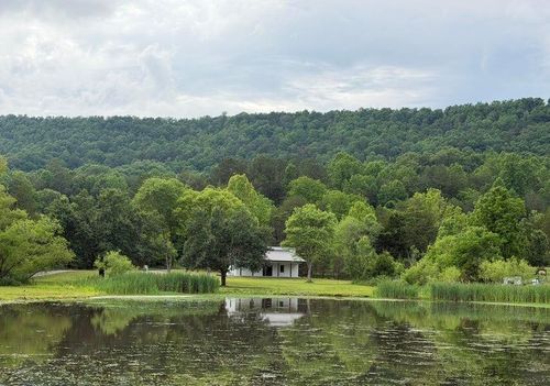 1483 Reagan Valley Rd, Tellico Plains, TN, 37385-4900 | Card Image