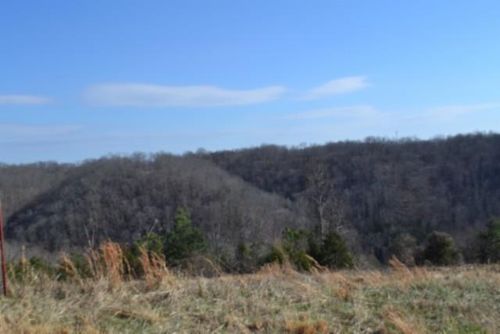 Lot 13 Lord Botetourt Court, Baxter, TN, 38506 | Card Image