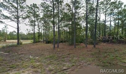 Land in CITRUS SPRINGS
