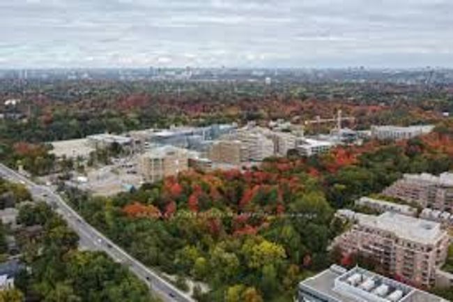 12 - 20 Hargrave Lane, Condo with 4 bedrooms, 3 bathrooms and null parking in Toronto ON | Image 22