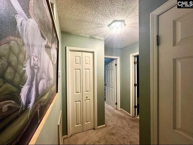 109 Cranewater Dr, House other with 3 bedrooms, 3 bathrooms and null parking in Columbia SC | Image 22