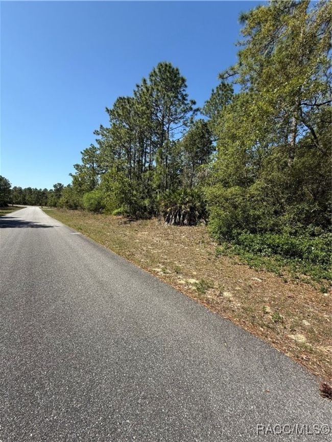 6526 N Shafton Ter, Home with 0 bedrooms, 0 bathrooms and null parking in DUNNELLON FL | Image 5