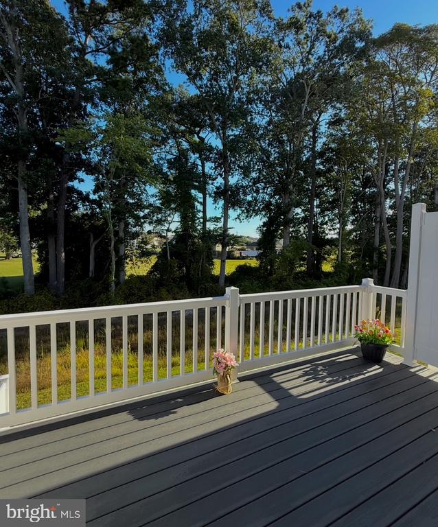 Residential Lease in MILLSBORO 3