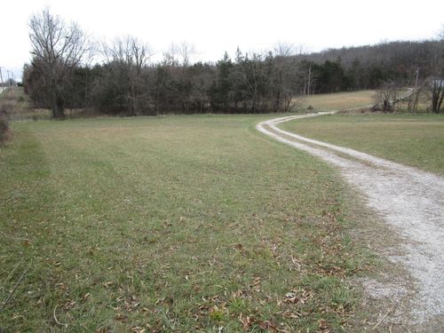 1558 E 430th Road Road, Bolivar, MO, 65613 | Card Image