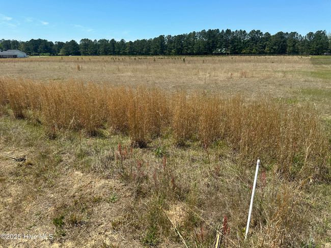 7 Winning Ways Lane, Home with 0 bedrooms, 0 bathrooms and null parking in Aberdeen NC | Image 9