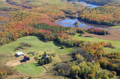 313-acres-63999 Wolanek Rd, Marengo, WI, 54855 | Card Image