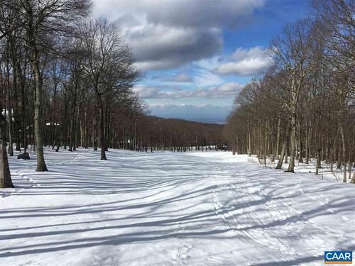 117 Fairway Oaks Ln, WINTERGREEN RESORT, VA, 22967-8097 | Card Image