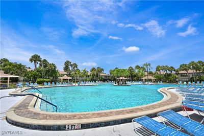 Winterpark has one of the largest resort styled pools in the state of Florida! | Image 2