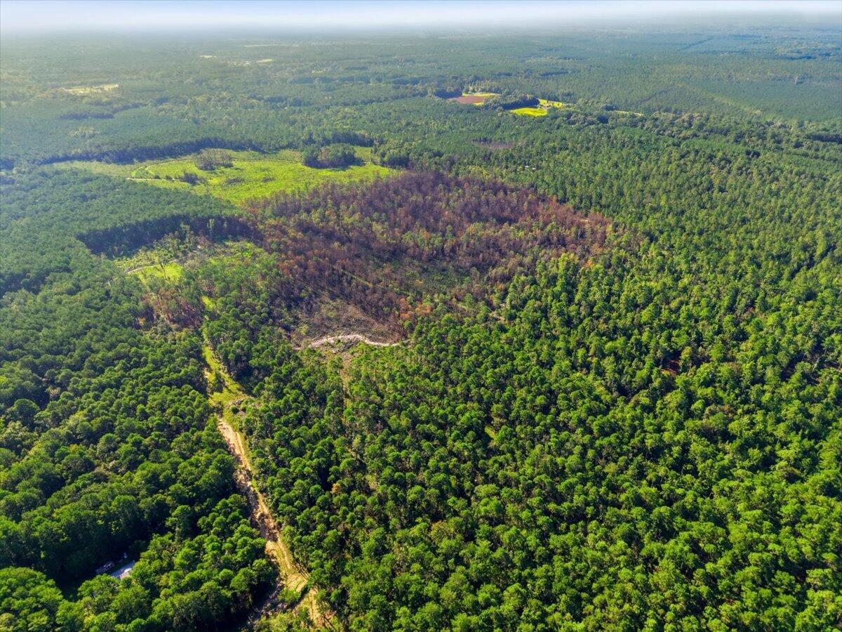 Land in Ridgeville 5