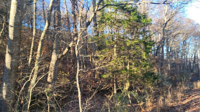 0 Rock Creek Rd, Home with 0 bedrooms, 0 bathrooms and null parking in Eva AL | Image 9