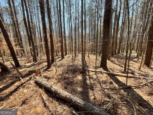 4-0 Joe Cook Rd, Franklin, GA, 30217 | Card Image