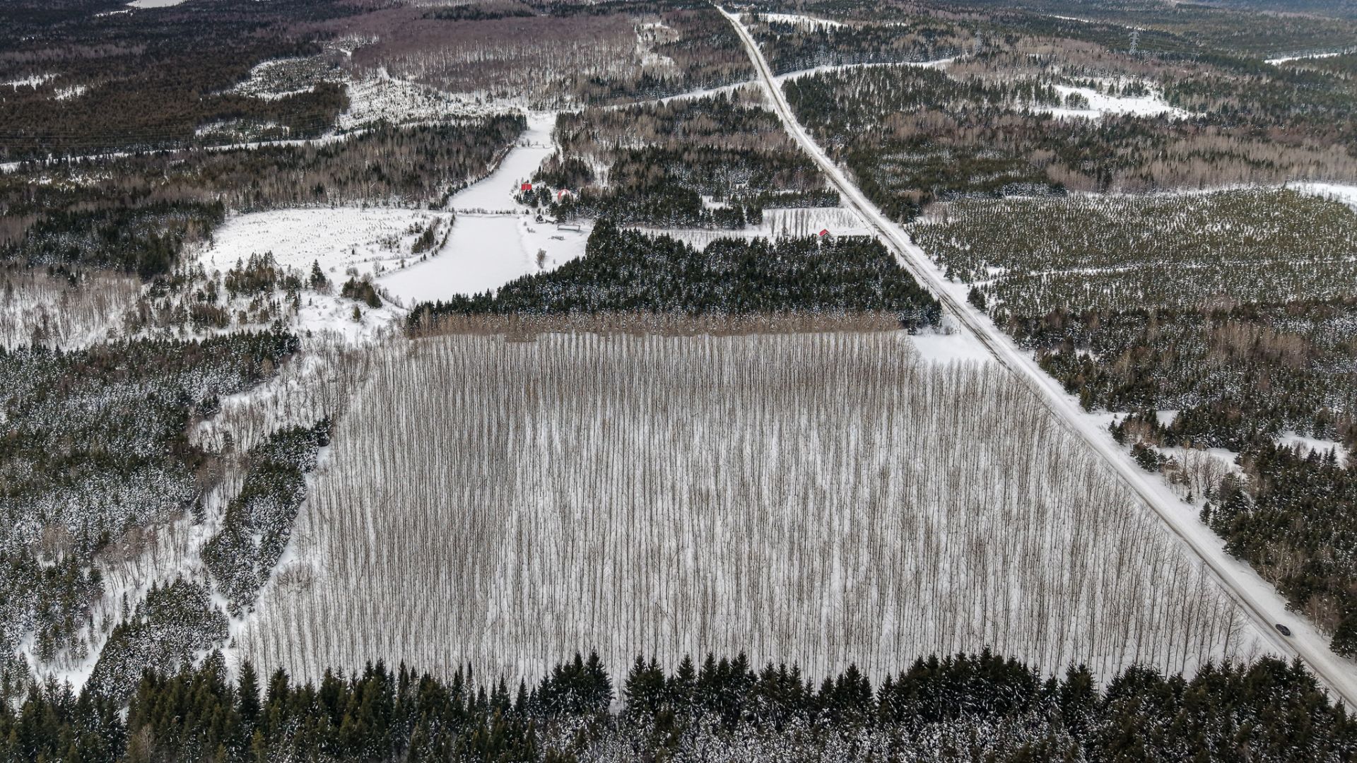 Land in Unknown 4