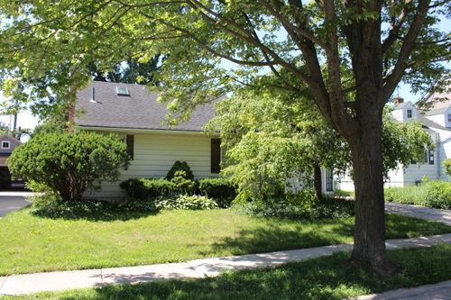 1810 Holland St, Birmingham, MI, 48009-6856 | Card Image