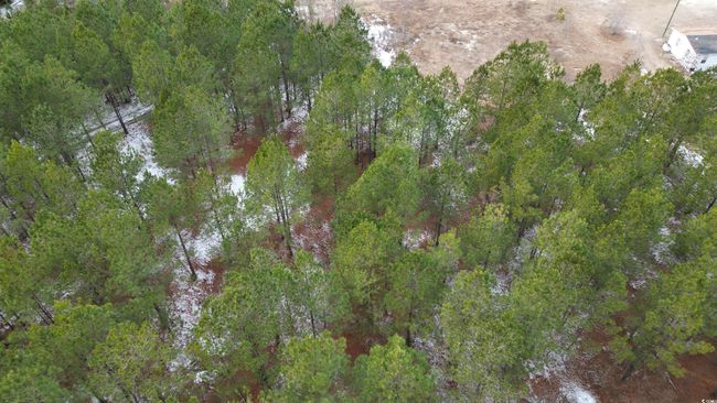 Drone / aerial view | Image 10
