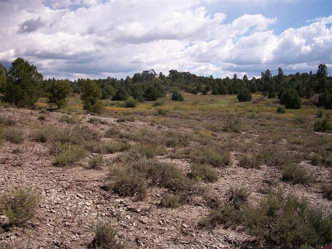 13989 Road 35.6, Home with 0 bedrooms, 0 bathrooms and null parking in Mancos CO | Image 17