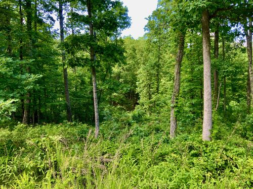 0 Bear Hollow Drive, Waverly, TN, 37185 | Card Image