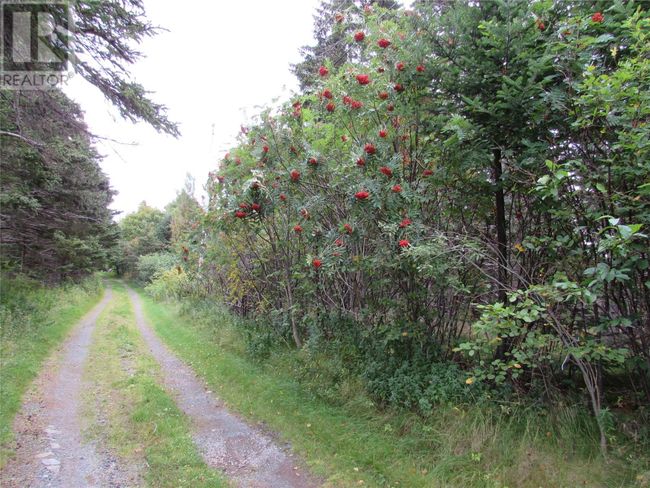 C - 54 C Point Rd, Home with 0 bedrooms, 0 bathrooms and null parking in Chapel Cove NL | Image 12