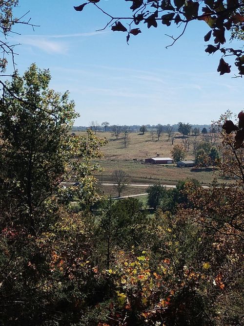 357 E Rolla St, Hartville, MO, 65667-8205 | Card Image