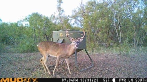 TBD Fm 540, Hamlin, TX, 79520 | Card Image