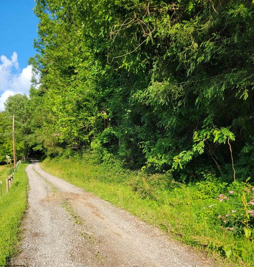 0 Criss Run Road, Philippi, WV, 26416 | Card Image