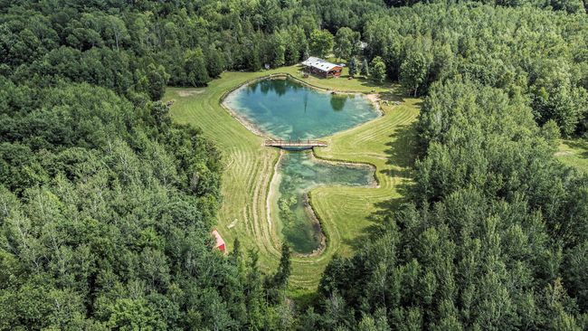 Pond | Image 23