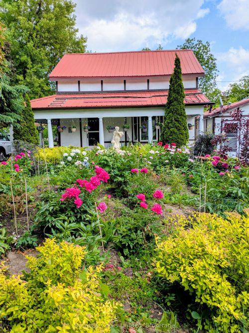 {{alt}} | Card Image