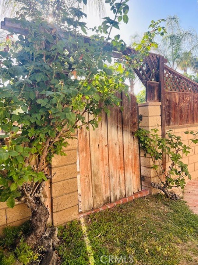 Garden gate | Image 38