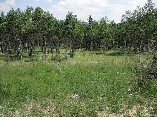 621 Hawk Way, Como, CO, 80432-5072 | Card Image