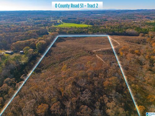 lot-2-0 Tract 2 County Road 51, woodland, AL, 36280 | Card Image