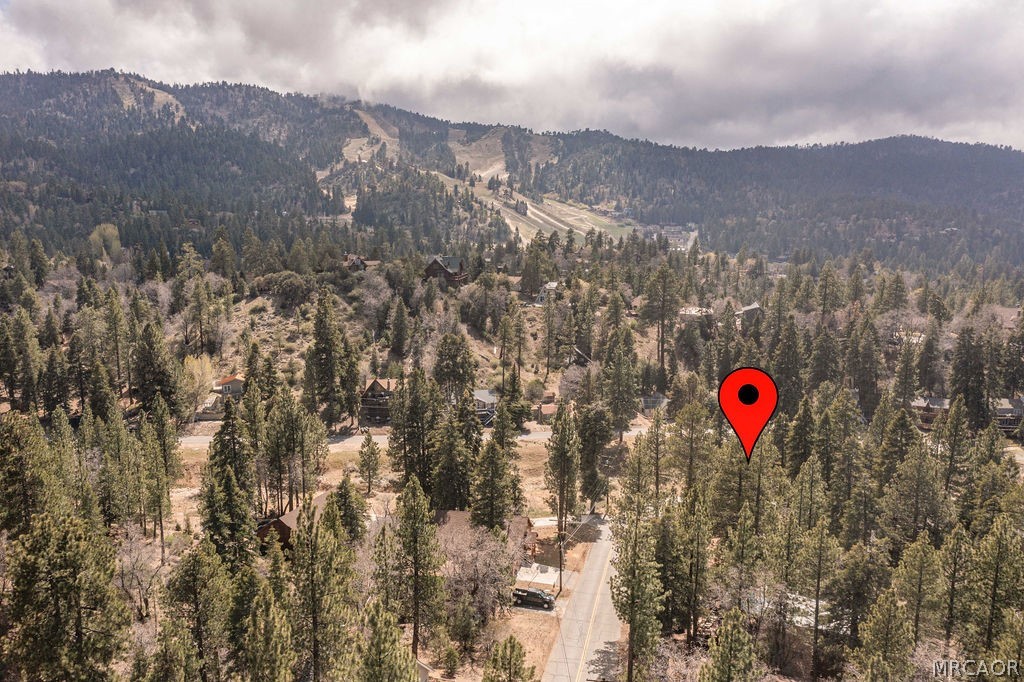 Residential in Big Bear Lake 2
