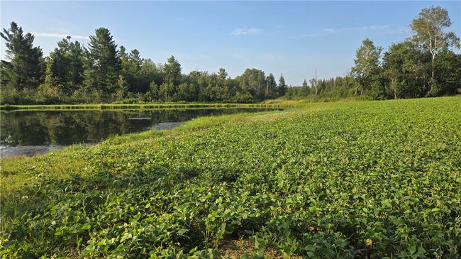 2984 N Weirgor Rd, House other with 4 bedrooms, 1 bathrooms and null parking in EXELAND WI | Image 27