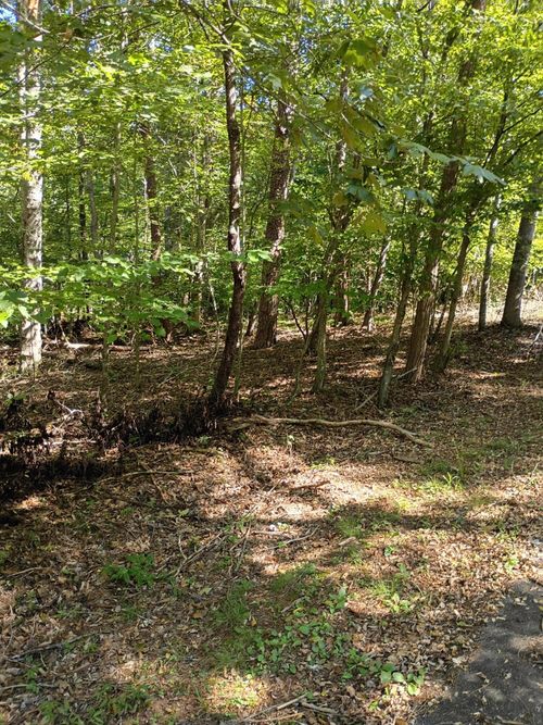 41 Long Pine Rd, Moneta, VA, 24121 | Card Image