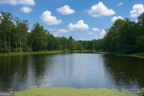 0 Ga Highway 171 S, Gibson, GA, 30810 | Card Image