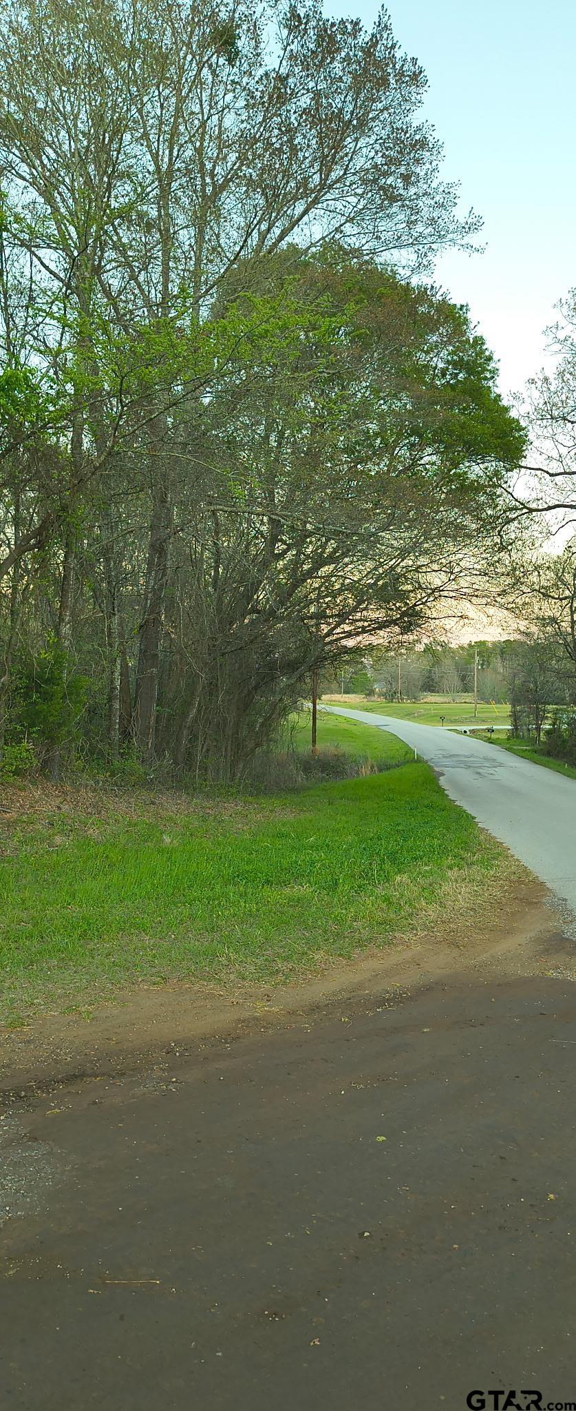 Land in Tyler 5
