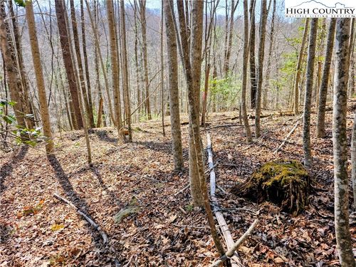 Tbd Powder Horn Rd, Deep Gap, NC, 28618 | Card Image